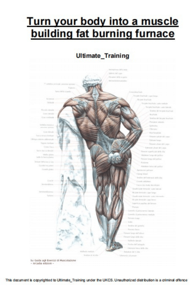 Turn Your Body Into a Muscle Building Fat Burning Furnace
